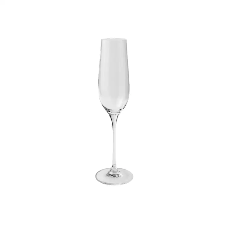 JENNA CLIFFORD - Champagne 235ml Set of 4