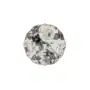 JENNA CLIFFORD - Black Rose Side Plate Set of 4