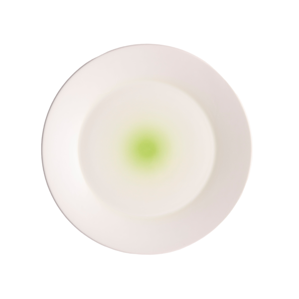 Saraille Aqua & Lime Dinner Plate - Image 2