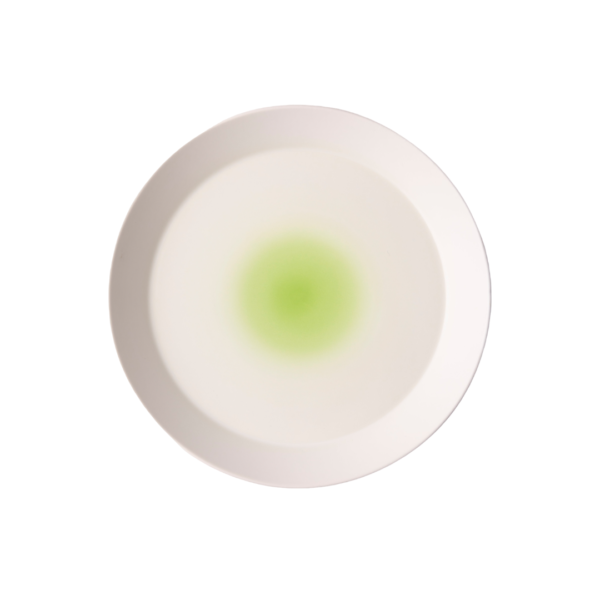 DESIGNERS GUILD - Aqua & Lime Low Serving Bowl