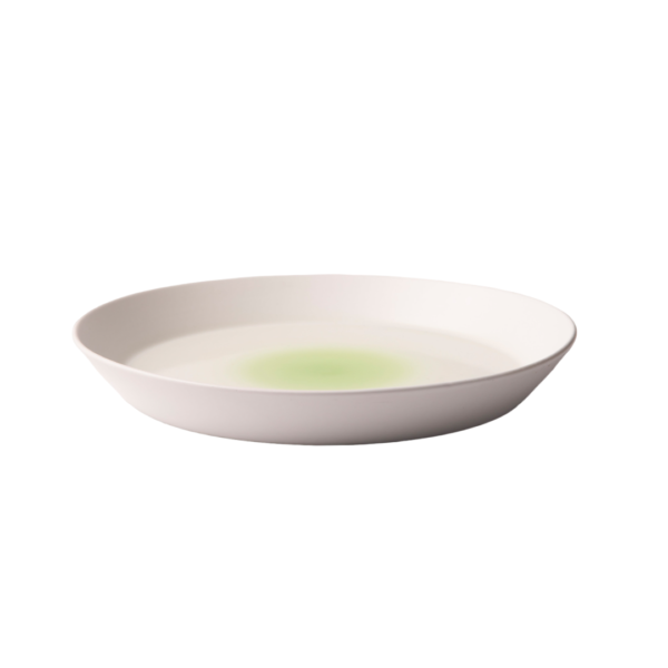 DESIGNERS GUILD - Aqua & Lime Low Serving Bowl