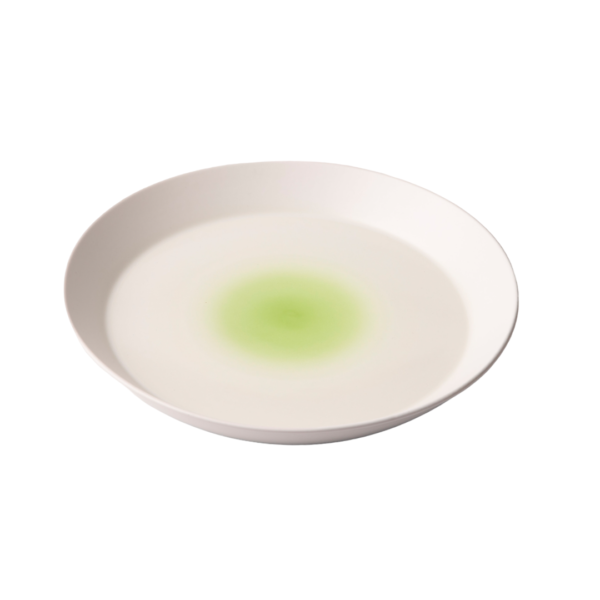 Saraille Aqua & Lime Low Serving Bowl - Image 5