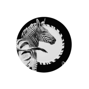 David Hadaway Zebra Charger